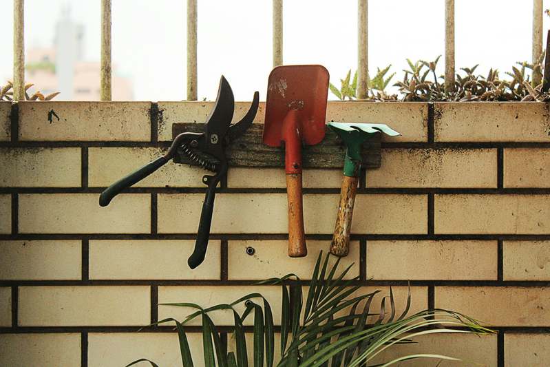 TrimCraft team testing hedge trimmers in a lush backyard garden